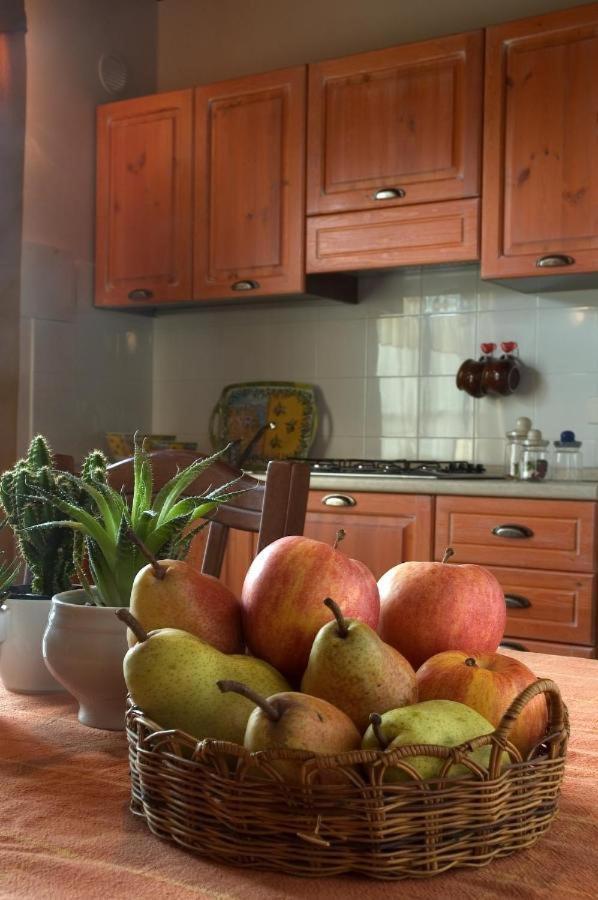 גאמבאסי Agriturismo La Burraia Vicino A San Gimignano מראה חיצוני תמונה